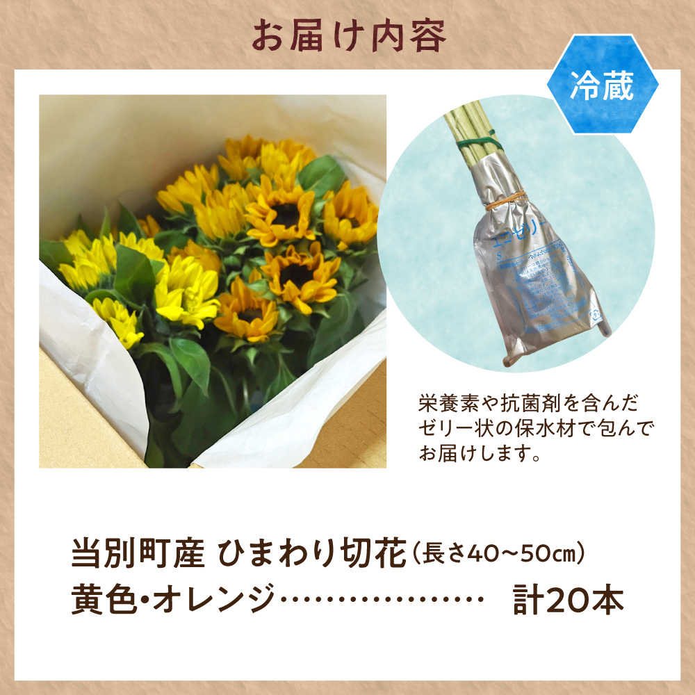 ひまわり 切花 20本 黄色 オレンジ 四季農場《6月上旬-9月下旬頃出荷》北海道 当別町 花 お花 はな ひまわり 夏 切り花 冷蔵便 北海道産 当別町産 インテリア