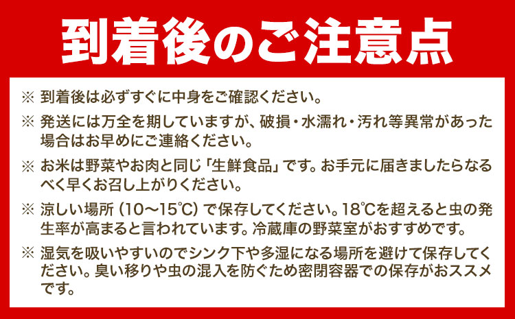 【令和6年産先行予約】精米ゆめぴりか3kg