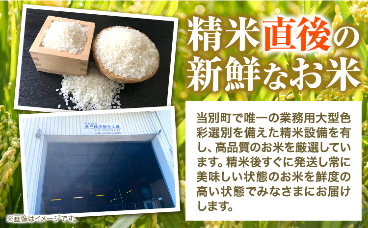 当別産米ななつぼし10kg（瀬戸商店）