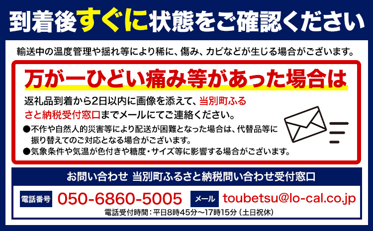 石田ファームとうもろこし20本セット