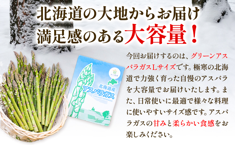 【令和7年先行受付】市川農場とれたてグリーンアスパラLサイズ1.5kg