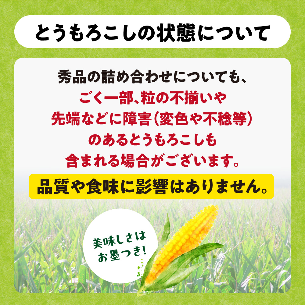【2026年出荷】【先行予約】【数量限定】石田ファーム とうもろこし 詰め合わせ２０本セット