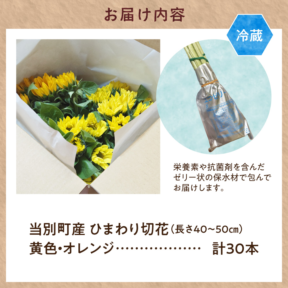 ひまわり 切花 30本 黄色 オレンジ 四季農場《6月上旬-9月下旬頃出荷》北海道 当別町 花 お花 はな ひまわり 夏 切り花 冷蔵便 北海道産 当別町産 インテリア