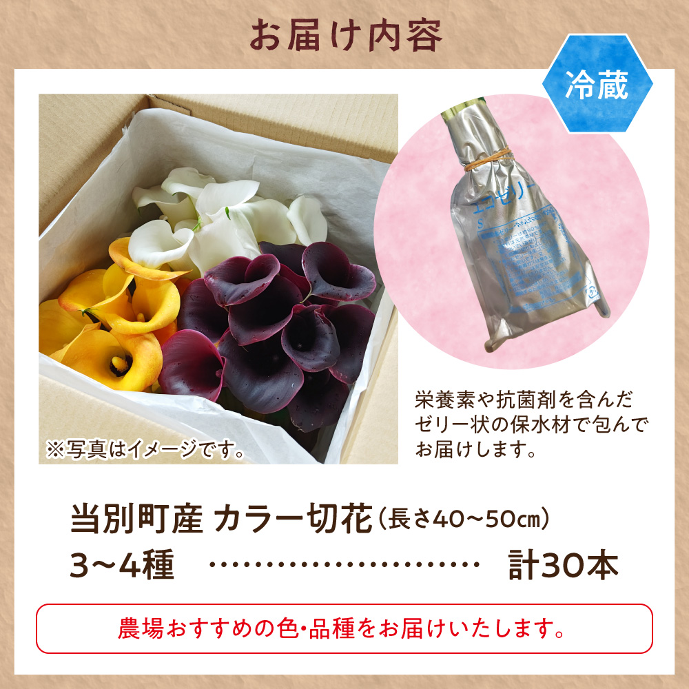 繧ォ繝ゥ繝シ 蛻闃ア 30譛ャシ3縲4蜩∫ィョシ牙屁蟄」霎イ蝣エ縲7譛井ク頑流-10譛井クュ譌ャ鬆蜃コ闕キ縲句圏豬キ驕 蠖灘挨逕コ 闃ア 縺願干 縺ッ縺ェ 繧ォ繝ゥ繝シ 蛻繧願干 蜀キ阡オ萓ソ 蛹玲オキ驕鍋肇 蠖灘挨逕コ逕」 繧、繝ウ繝繝ェ繧「