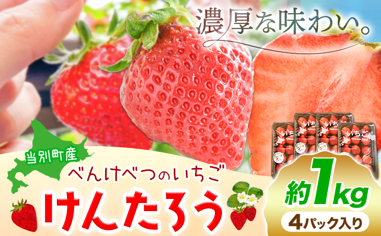 【2025年先行予約】いちご 苺 当別町産 べんけべつのいちご けんたろう 約1kg (1箱4パック入り) 齊藤義也 《5月下旬-6月下旬頃より出荷予定》 北海道 当別町 送料無料 イチゴ フルーツ 果物 北海道産 お取り寄せフルーツ