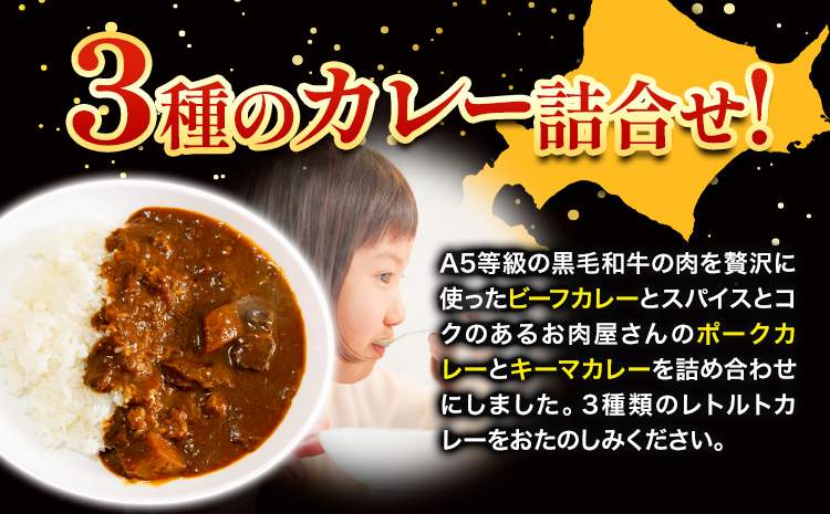 黒毛和牛A5のビーフカレーとお肉がゴロッと入ったポークカレーとキーマカレーのセット