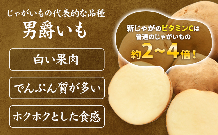 特別栽培 男爵いも 10kg じゃがいも 新じゃが 北海道 当別町産 大塚農場 北海道 当別町 野菜 新鮮 ポテサラ じゃがバター