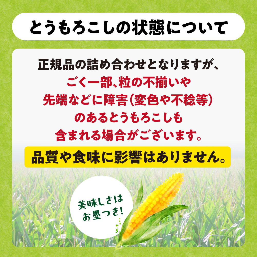 ã2026幎åºè·ããå
è¡äºçŽããæ°ééå®ãç³ç°ãã¡ãŒã ãšããããã è©°ãåããïŒïŒæ¬ã»ãã