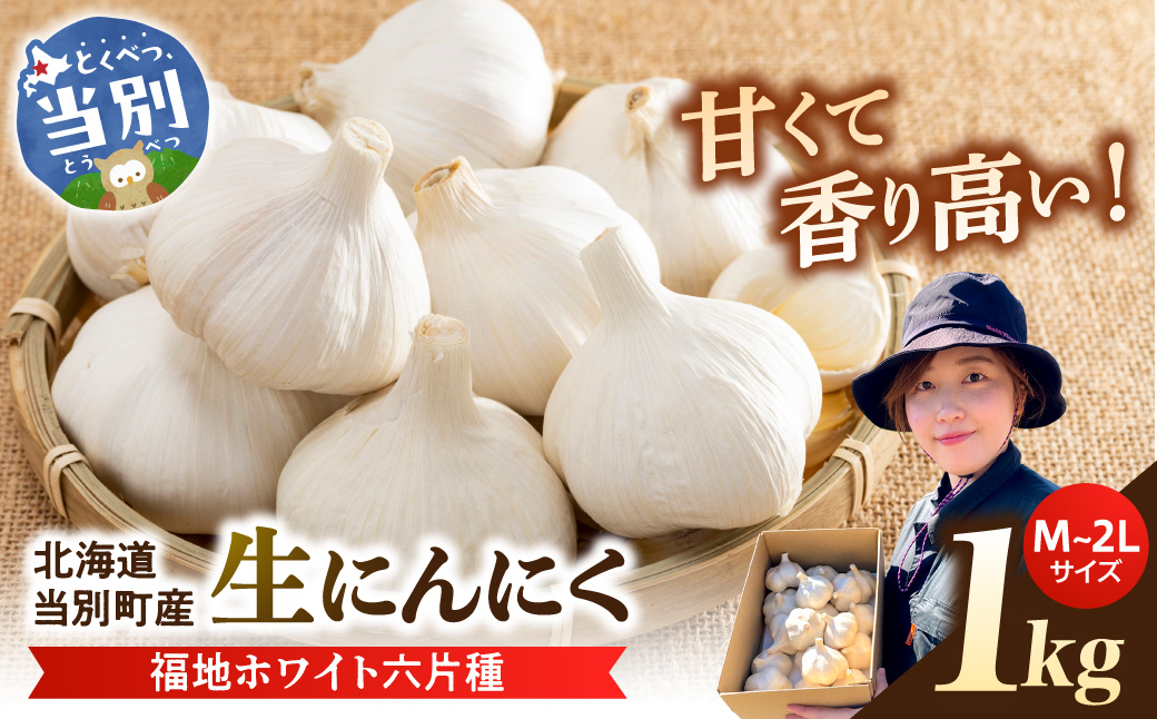 【令和8年発送先行受付】生にんにく（福地ホワイト六片種）1kg　《2026年6月下旬頃出荷予定》野菜　にんにく　北海道　当別町