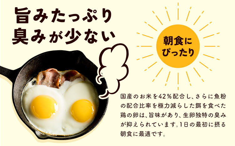 究極の卵、オーガニックエッグを含む3種食べ比べセット