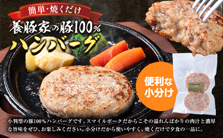 養豚家の豚100％ハンバーグセット 120g2枚入りパック×５セット計１０枚 豚肉 肉 厳選 国産 厳選 お取り寄せ グルメ おかず おすすめ スマイル ポーク 加工品 惣菜 簡単 冷凍 キャンプ BBQ