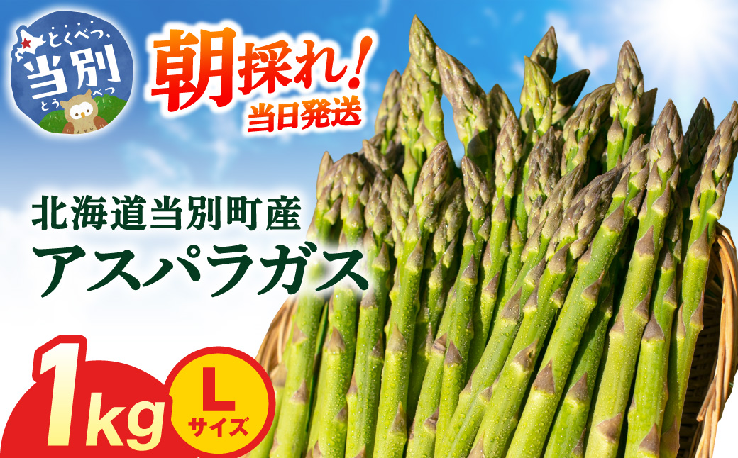 【2026年先行受付】とれたてグリーンアスパラLサイズ1kg