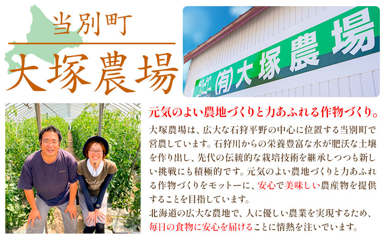 当別町大塚農場だけが栽培する稀少大豆“ホンマ1号”を使用した『まぼろしの納豆』、たっぷり食べれる5個でお届け納豆 大塚農場 ホンマ1号 幻 高級納豆 まぼろしの納豆 ギフト 希少大豆 大豆 豆 ソイ