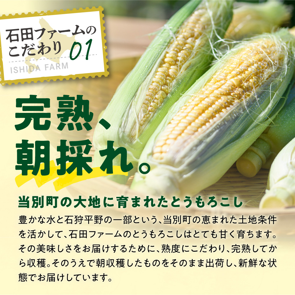 【2026年出荷】【先行予約】【数量限定】石田ファーム とうもろこし 詰め合わせ２０本セット