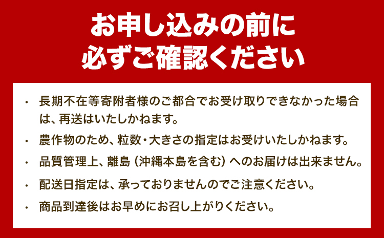 【2025年先行予約】いちご 苺 当別町産 べんけべつのいちご けんたろう 約1kg (1箱4パック入り) 齊藤義也 《5月下旬-6月下旬頃より出荷予定》 北海道 当別町 送料無料 イチゴ フルーツ 果物 北海道産 お取り寄せフルーツ