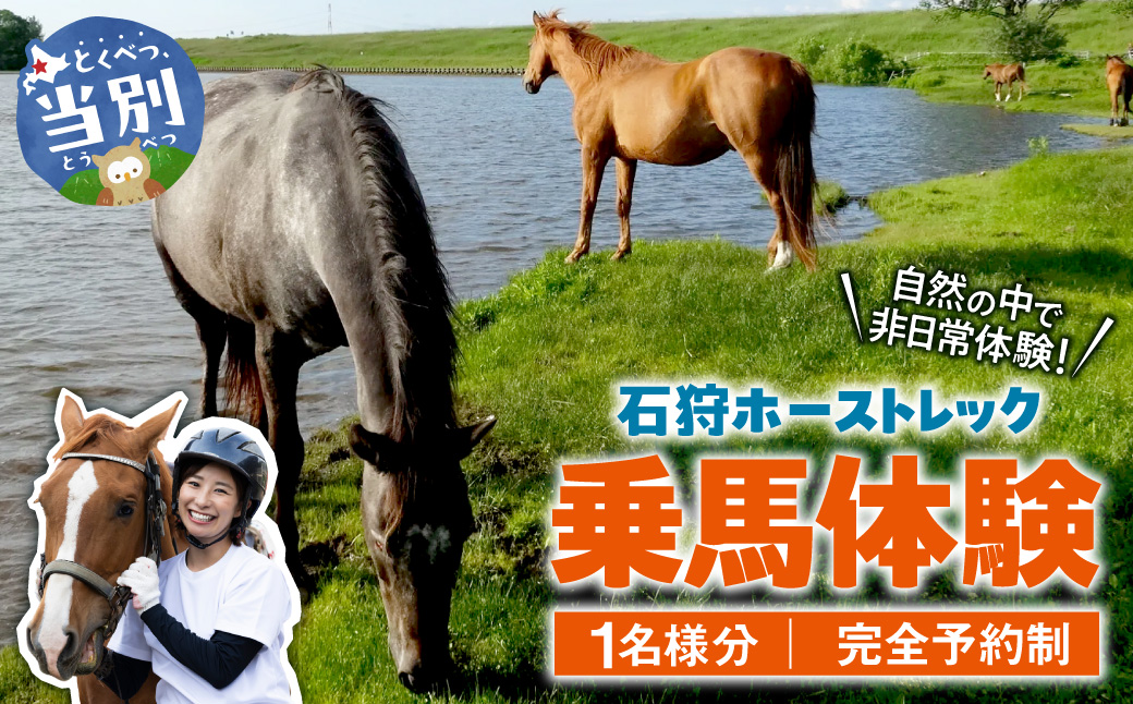 石狩ホーストレック　体験乗馬