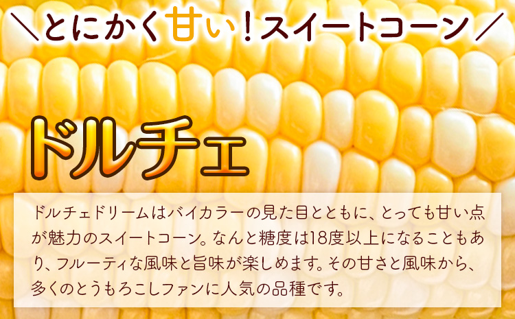 【2025年先行予約】野口農園 高糖度 とうもろこし「ドルチェドリーム」15本 | とうもろこし トウモロコシ 高糖度とうもろこし 農家直送とうもろこし 北海道とうもろこし 野菜 バイカラー コーン