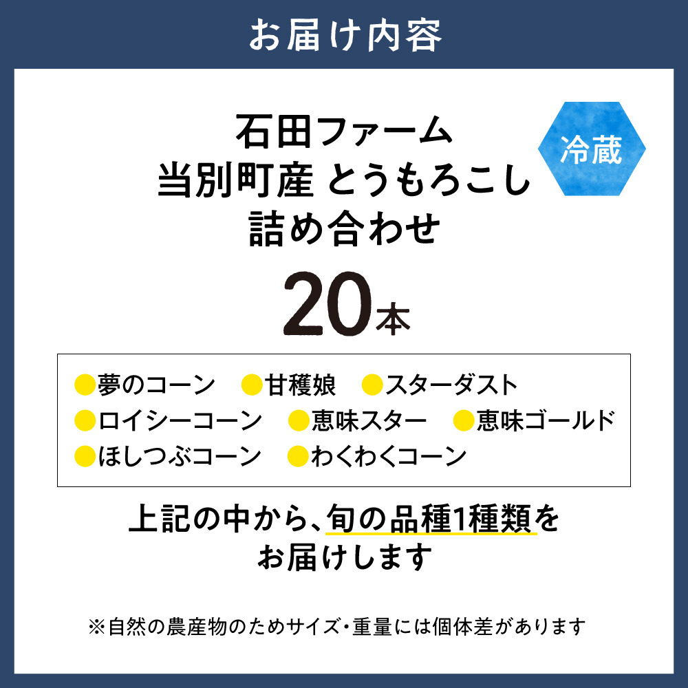 【2026年出荷】【先行予約】【数量限定】石田ファーム とうもろこし 詰め合わせ２０本セット
