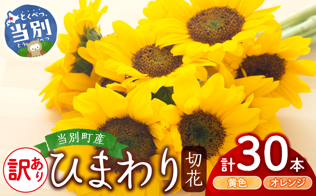 【訳あり】ひまわり 切花 30本 黄色 オレンジ 四季農場《6月上旬-9月下旬頃出荷》北海道 当別町 花 お花 はな ひまわり 夏 切り花 冷蔵便 北海道産 当別町産 インテリア