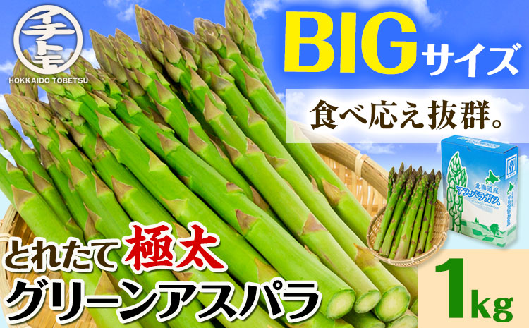 【2026年先行受付】とれたて極太グリーンアスパラ1kg