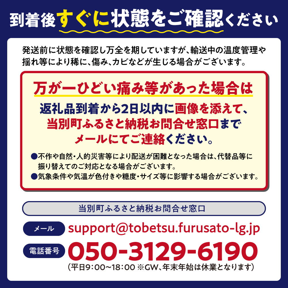 ã2026幎åºè·ããå
è¡äºçŽããæ°ééå®ãç³ç°ãã¡ãŒã ãšããããã è©°ãåããïŒïŒæ¬ã»ãã