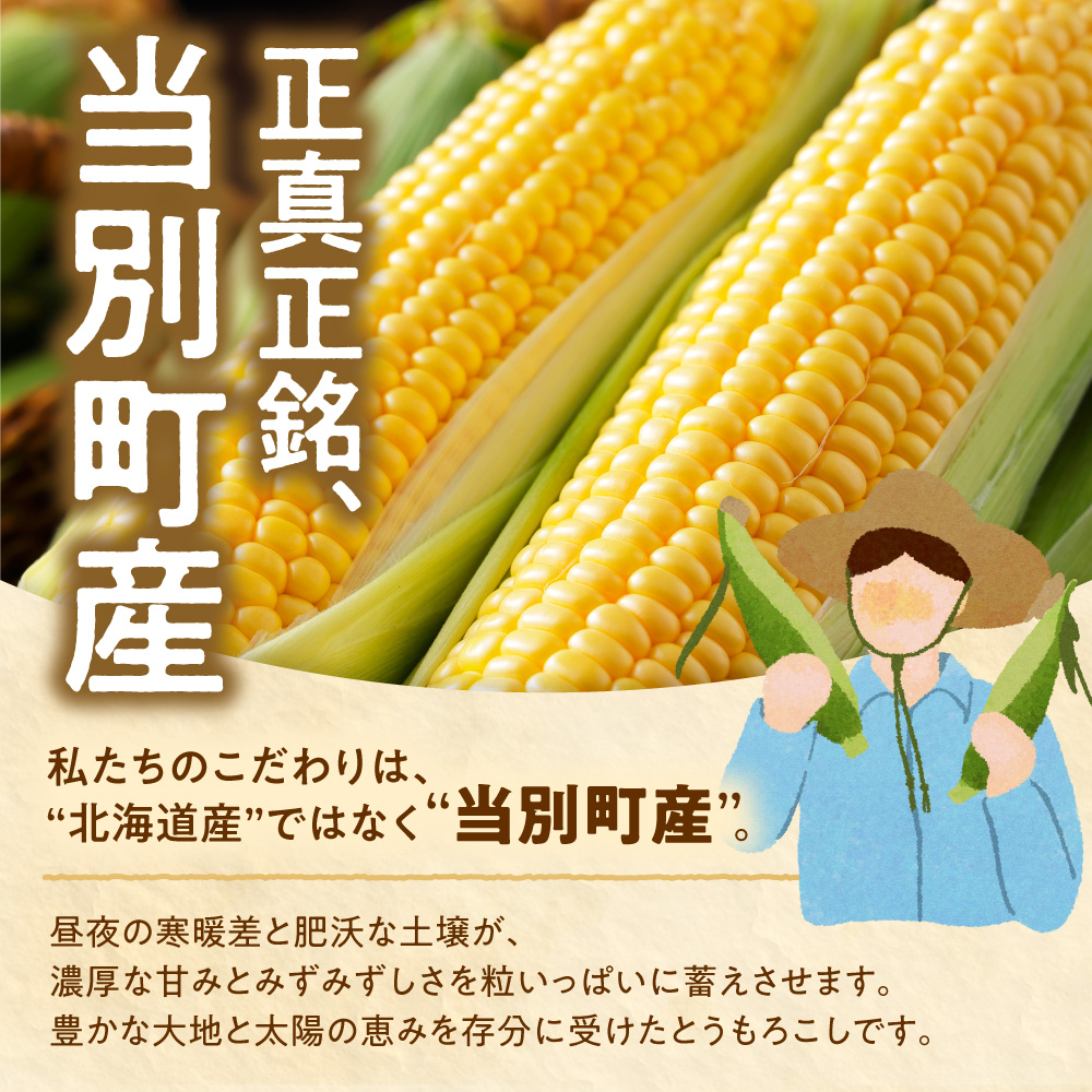 【2026年出荷】【先行予約】【数量限定】石田ファーム とうもろこし 詰め合わせ２０本セット