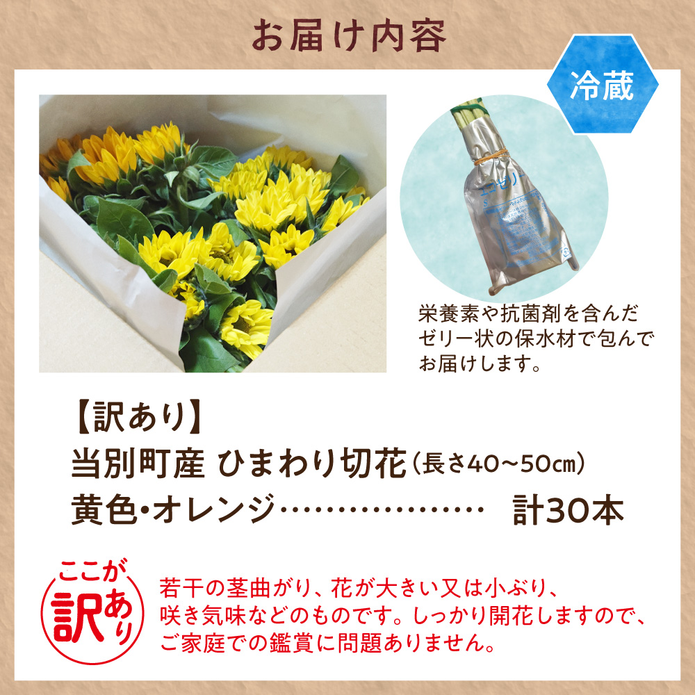 【訳あり】ひまわり 切花 30本 黄色 オレンジ 四季農場《6月上旬-9月下旬頃出荷》北海道 当別町 花 お花 はな ひまわり 夏 切り花 冷蔵便 北海道産 当別町産 インテリア
