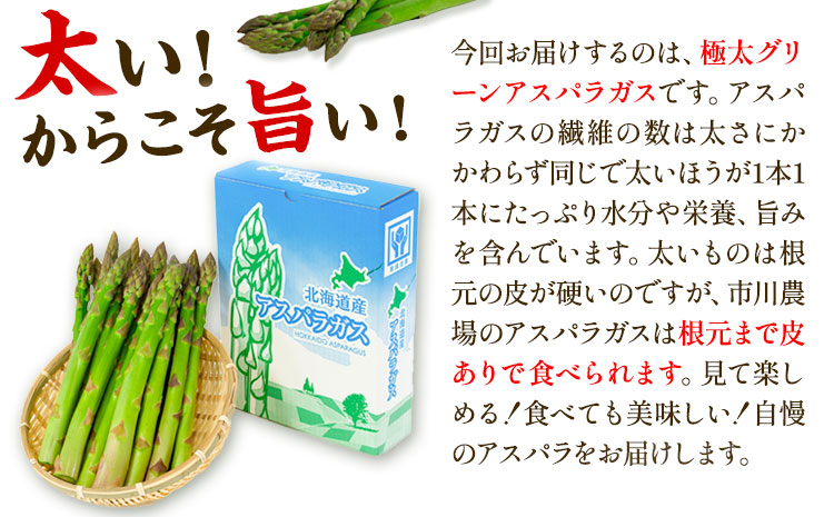 【令和7年先行受付】市川農場とれたて極太グリーンアスパラ1kg