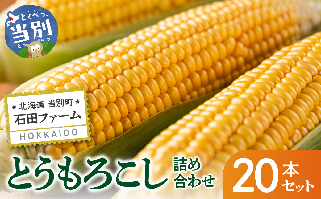 【2026年出荷】【先行予約】【数量限定】石田ファーム とうもろこし 詰め合わせ２０本セット