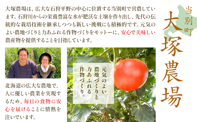 『ぜいたくトマト』トマトジュース500g　2本セット