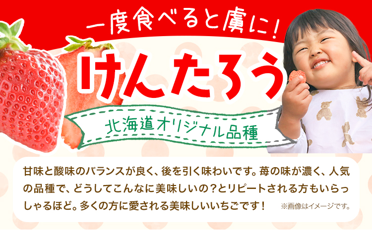 【2025年先行予約】いちご 苺 当別町産 べんけべつのいちご けんたろう 約1kg (1箱4パック入り) 齊藤義也 《5月下旬-6月下旬頃より出荷予定》 北海道 当別町 送料無料 イチゴ フルーツ 果物 北海道産 お取り寄せフルーツ