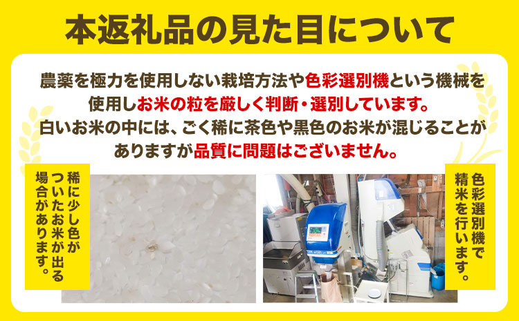 【令和6年産先行予約】精米ななつぼし5kg