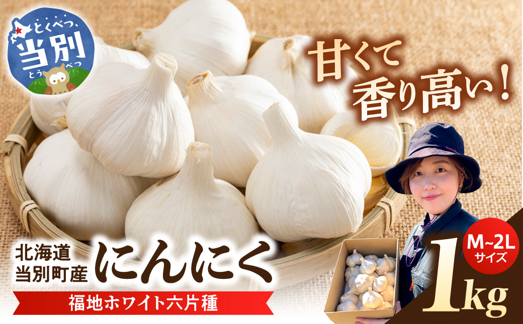【令和8年発送先行受付】にんにく（福地ホワイト六片種）1kg　《2026年8月頃出荷予定》野菜　にんにく　北海道　当別町