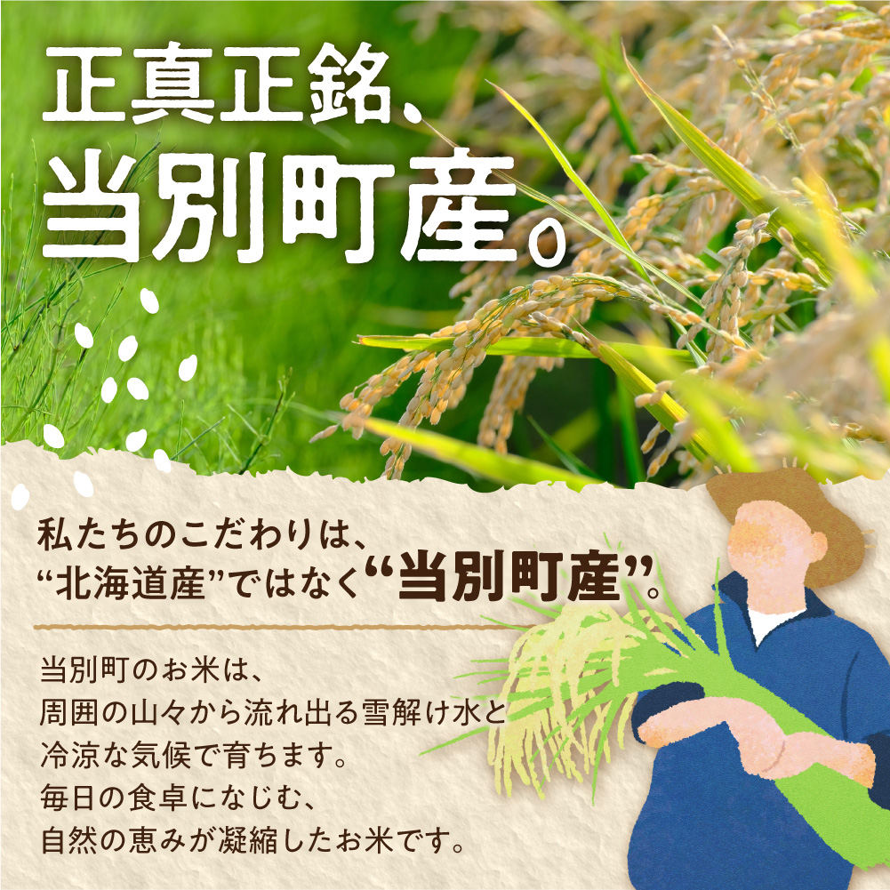 【令和7年産】精米ななつぼし10kg