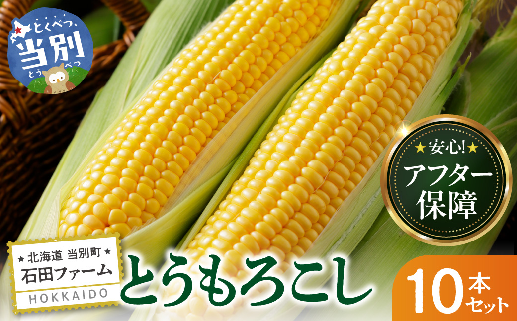 石田ファーム とうもろこし詰め合わせ10本セット（数量限定）