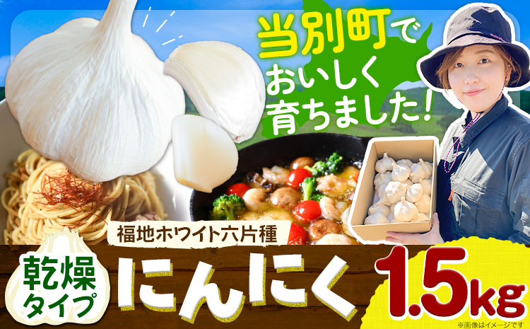 【令和7年発送先行受付】にんにく（福地ホワイト六片種）1.5kg