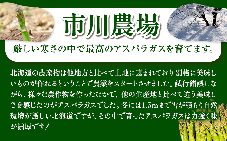 【令和7年先行受付】市川農場とれたてグリーンアスパラLサイズ1.5kg