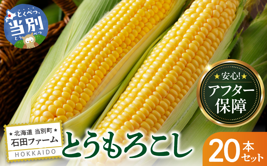 【2026年出荷】【先行予約】【数量限定】石田ファーム とうもろこし 詰め合わせ２０本セット
