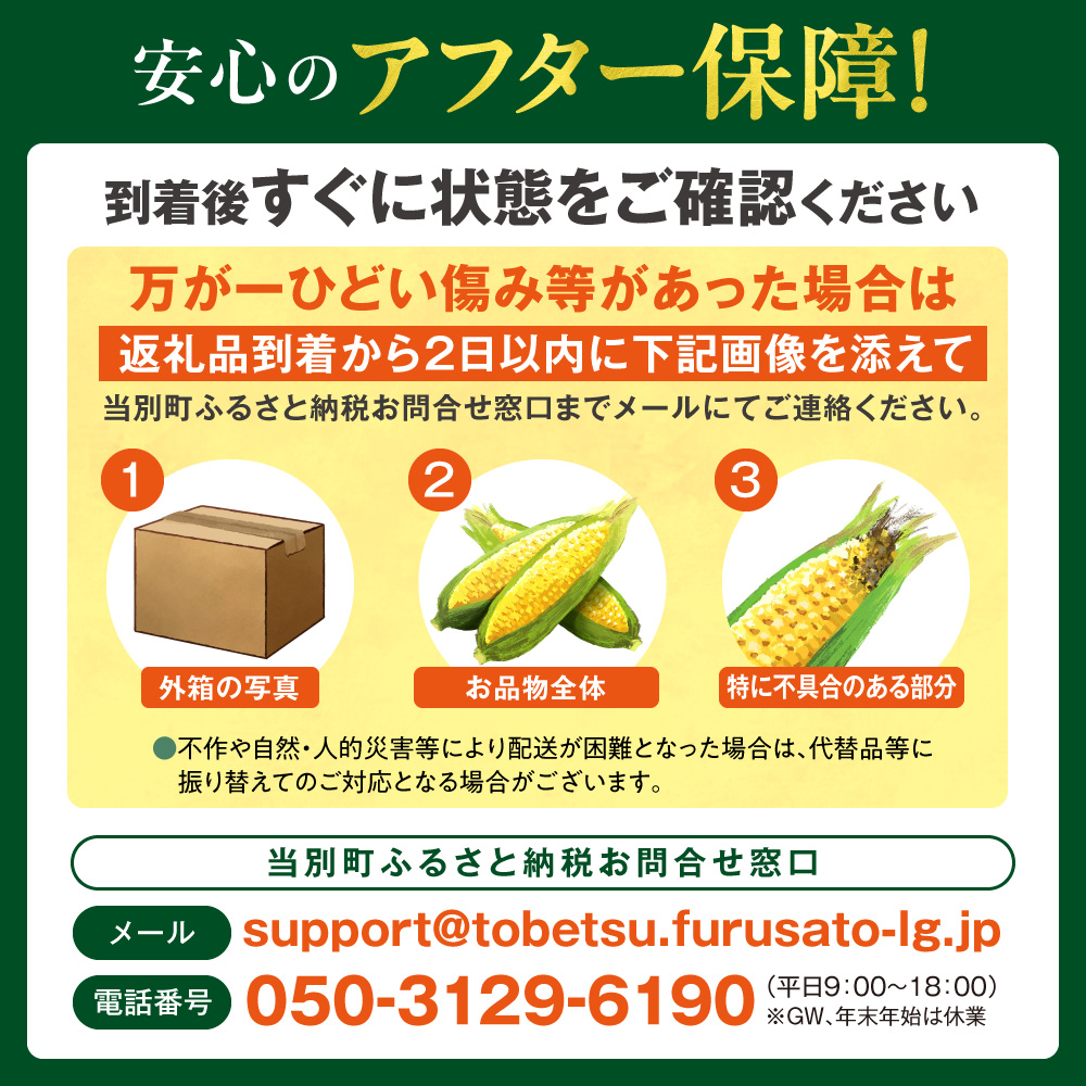 【2026年出荷】【先行予約】【数量限定】石田ファーム とうもろこし 詰め合わせ２０本セット