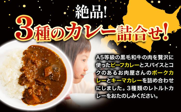 黒毛和牛A5のビーフカレーとお肉がゴロッと入ったポークカレーとキーマカレーのセット