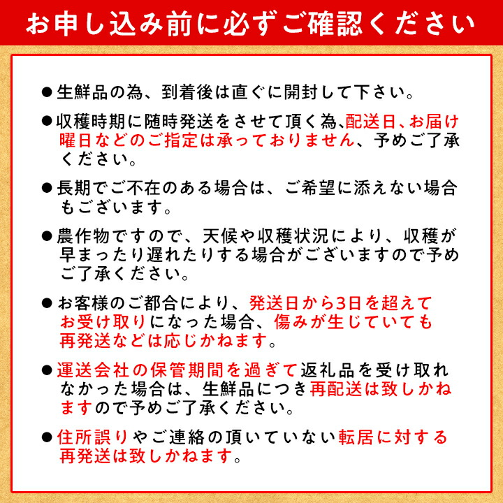 石田ファームとうもろこし20本セット