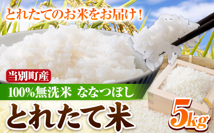 「とれたて米」当別産100％無洗米ななつぼし5kg