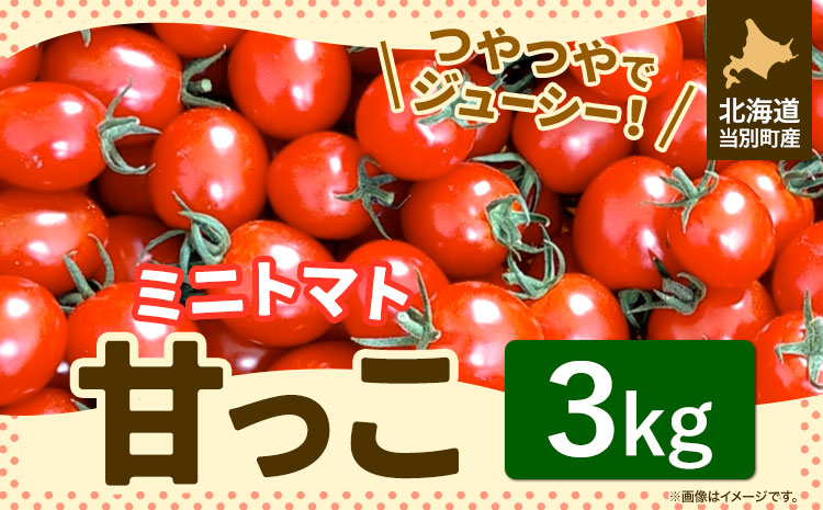 北海道当別町産化学農薬不使用ミニトマト：甘っこ3kg