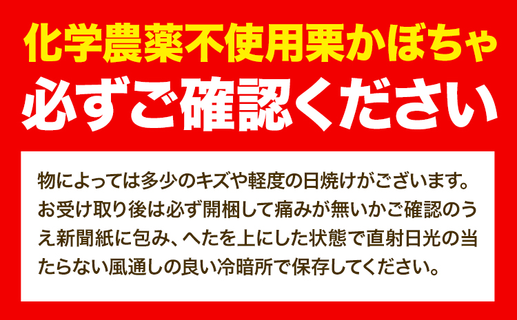 北海道当別町産化学農薬不使用かぼちゃ:お任せ2個セット