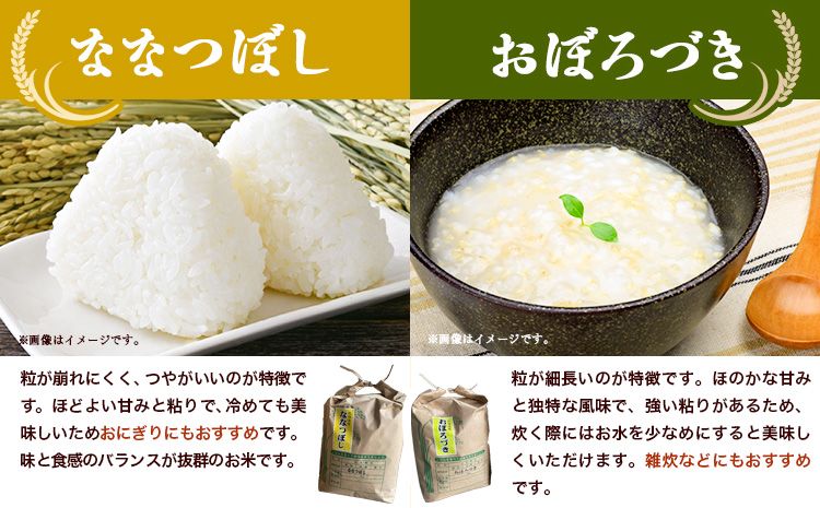 【令和6年産先行受付】野口農園お米セット 計 30kg 3ヶ月定期便 「ななつぼし・おぼろづき」 お米 10kg 5kg 北海道産 産地直送 ブランド米 ななつぼし おぼろづき 野口農園 《 10月～（新米収穫出来次第、出荷）》 国産 精米 白米 米 食べ比べ