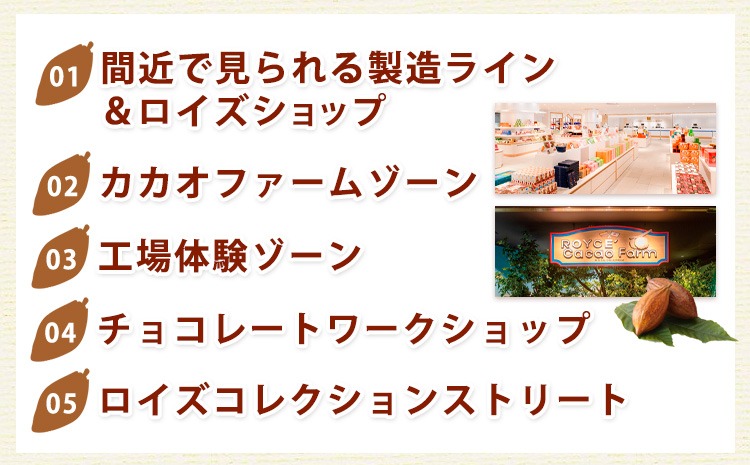 ROYCE'ファミリーセット | ロイズ 生チョコ チョコ チョコレート ポテトチップチョコレート スイーツ お菓子 おかし ギフト 詰め合わせ お取り寄せ 北海道 土産 定番 送料無料