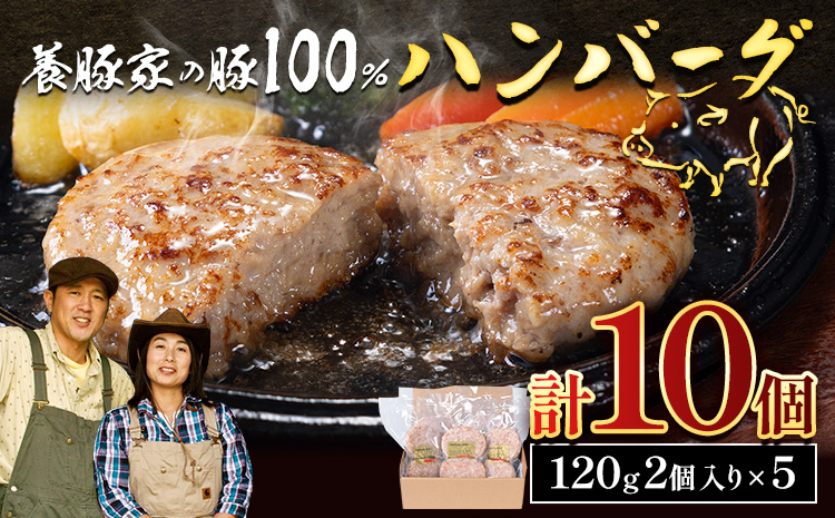 養豚家の豚100％ハンバーグセット 120g2枚入りパック×５セット計１０枚 豚肉 肉 厳選 国産 厳選 お取り寄せ グルメ おかず おすすめ スマイル ポーク 加工品 惣菜 簡単 冷凍 キャンプ BBQ