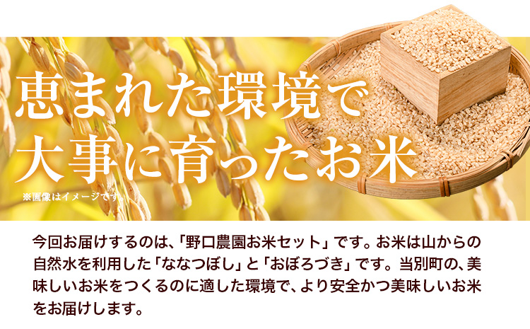 【令和6年産先行予約】野口農園玄米お米セット10kg「ななつぼし・おぼろづき」