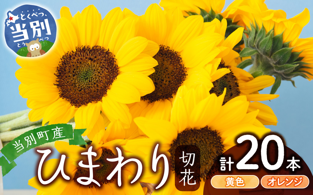 ひまわり 切花 20本 黄色 オレンジ 四季農場《6月上旬-9月下旬頃出荷》北海道 当別町 花 お花 はな ひまわり 夏 切り花 冷蔵便 北海道産 当別町産 インテリア