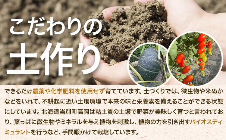北海道当別町産化学農薬不使用ミニトマト：甘っこ1.5kg